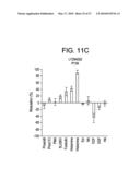 METHODS OF CREATING AN INDEX diagram and image