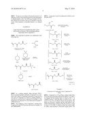 PROCESS FOR THE SYNTHESIS OF ALKYL PHOSPHINIC ACIDS BY INITIATION OF AN AMINE AND AN AMINEOXIDE diagram and image