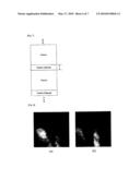 CAPSULE-TYPE ENDOSCOPE CAPABLE OF CONTROLLING FRAME RATE OF IMAGE diagram and image
