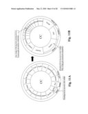 Apparatus and Method for Data Search and Organization diagram and image