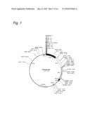 Cosmid Vector For Plant Transformation And Use Thereof diagram and image