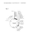 Cosmid Vector For Plant Transformation And Use Thereof diagram and image