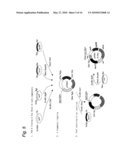 Cosmid Vector For Plant Transformation And Use Thereof diagram and image