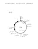 Cosmid Vector For Plant Transformation And Use Thereof diagram and image