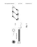 NANOPARTICLE / NANOTUBE-BASED NANOELECTRONIC DEVICES AND CHEMICALLY-DIRECTED ASSEMBLY THEREOF diagram and image