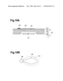 LIQUID EJECTION HEAD AND INK-JET PRINTER diagram and image