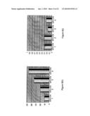 METHODS AND SYSTEMS FOR CREATING A HIERARCHICAL APPEARANCE MODEL diagram and image