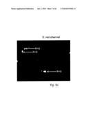 ANALYSIS AND CLASSIFICATION, IN PARTICULAR OF BIOLOGICAL OR BIOCHEMICAL OBJECTS, ON THE BASIS OF TIME-LAPSE IMAGES, APPLICABLE IN CYTOMETRIC TIME-LAPSE CELL ANALYSIS IN IMAGE-BASED CYTOMETRY diagram and image