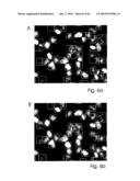 ANALYSIS AND CLASSIFICATION, IN PARTICULAR OF BIOLOGICAL OR BIOCHEMICAL OBJECTS, ON THE BASIS OF TIME-LAPSE IMAGES, APPLICABLE IN CYTOMETRIC TIME-LAPSE CELL ANALYSIS IN IMAGE-BASED CYTOMETRY diagram and image