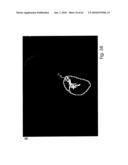 ANALYSIS AND CLASSIFICATION, IN PARTICULAR OF BIOLOGICAL OR BIOCHEMICAL OBJECTS, ON THE BASIS OF TIME-LAPSE IMAGES, APPLICABLE IN CYTOMETRIC TIME-LAPSE CELL ANALYSIS IN IMAGE-BASED CYTOMETRY diagram and image