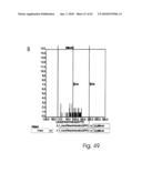 ANALYSIS AND CLASSIFICATION, IN PARTICULAR OF BIOLOGICAL OR BIOCHEMICAL OBJECTS, ON THE BASIS OF TIME-LAPSE IMAGES, APPLICABLE IN CYTOMETRIC TIME-LAPSE CELL ANALYSIS IN IMAGE-BASED CYTOMETRY diagram and image