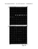 ANALYSIS AND CLASSIFICATION, IN PARTICULAR OF BIOLOGICAL OR BIOCHEMICAL OBJECTS, ON THE BASIS OF TIME-LAPSE IMAGES, APPLICABLE IN CYTOMETRIC TIME-LAPSE CELL ANALYSIS IN IMAGE-BASED CYTOMETRY diagram and image