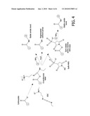 METHOD FOR DEPOSITING SUBSTANCES ON A SUPPORT diagram and image