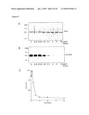 USE OF THE ENDOGLYCOSIDASE ENDOS FOR TREATING IMMUNOGLOBULIN G MEDIATED DISEASES diagram and image