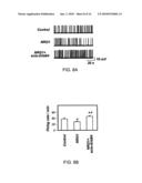 COMPOSITIONS AND METHODS FOR TREATING NEUROLOGICAL DISORDERS diagram and image