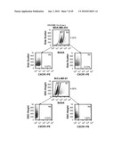 ANTI-CXCR1 COMPOSITIONS AND METHODS diagram and image