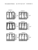 ANTI-CXCR1 COMPOSITIONS AND METHODS diagram and image