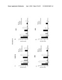 ANTI-CXCR1 COMPOSITIONS AND METHODS diagram and image