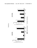 ANTI-CXCR1 COMPOSITIONS AND METHODS diagram and image