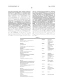 ANTI-CXCR1 COMPOSITIONS AND METHODS diagram and image