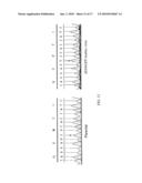 RECOMBINANT NORTH AMERICAN TYPE 1 PORCINE REPRODUCTIVE AND RESPIRATORY SYNDROME VIRUS AND METHODS OF USE diagram and image