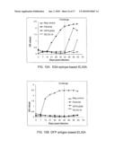 RECOMBINANT NORTH AMERICAN TYPE 1 PORCINE REPRODUCTIVE AND RESPIRATORY SYNDROME VIRUS AND METHODS OF USE diagram and image