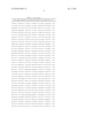 RECOMBINANT NORTH AMERICAN TYPE 1 PORCINE REPRODUCTIVE AND RESPIRATORY SYNDROME VIRUS AND METHODS OF USE diagram and image