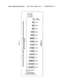 PHYTASES, NUCLEIC ACIDS ENCODING THEM AND METHODS FOR MAKING AND USING THEM diagram and image