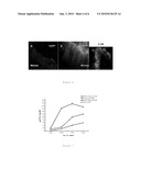 NANOPARTICLES COMPRISING A CYCLODEXTRIN AND A BIOLOGICALLY ACTIVE MOLECULE AND USES THEREOF diagram and image