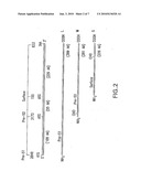 DETECTING HEPATITIS B VIRUS diagram and image