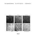 MICROFLUIDIC PLATFORM AND RELATED METHODS AND SYSTEMS diagram and image