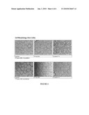 METHOD FOR PRODUCTION OF CELL ATTACHMENT AND CULTURE SURFACES diagram and image