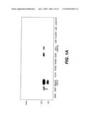 DETECTION, ISOLATION AND USES OF RENALASE (MONOAMINE OXIDASE C) diagram and image