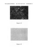 Methods for Enhanced Propagation of Cells diagram and image