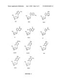 Mutants of Deoxycytidine Kinase Having Extended Enzymatic Activity diagram and image