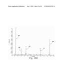 Thyroxine-Containing Compound Analysis Methods diagram and image