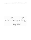 Thyroxine-Containing Compound Analysis Methods diagram and image