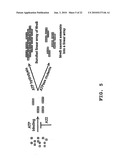 Method of Screening Antibacterial Drug Compounds diagram and image