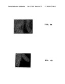 Method of Screening Antibacterial Drug Compounds diagram and image