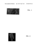 Method of Screening Antibacterial Drug Compounds diagram and image