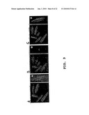 Method of Screening Antibacterial Drug Compounds diagram and image