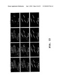 Method of Screening Antibacterial Drug Compounds diagram and image