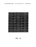 Method of Screening Antibacterial Drug Compounds diagram and image