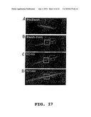 Method of Screening Antibacterial Drug Compounds diagram and image