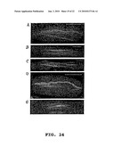 Method of Screening Antibacterial Drug Compounds diagram and image