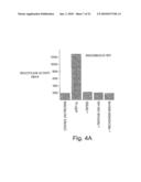 HISTONE DEACETYLASES, AND USES RELATED THERETO diagram and image