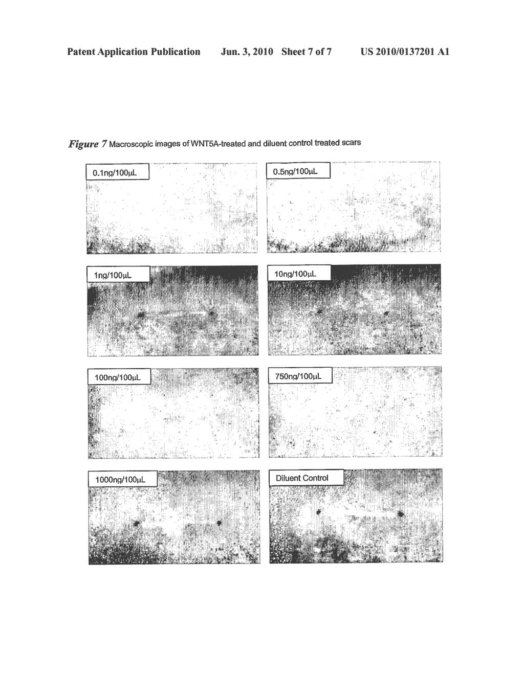 MEDICAMENTS - diagram, schematic, and image 08