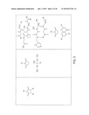 IMIDATED BIOPOLYMER ADHESIVE AND HYDROGEL diagram and image
