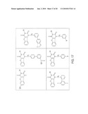 IMIDATED BIOPOLYMER ADHESIVE AND HYDROGEL diagram and image