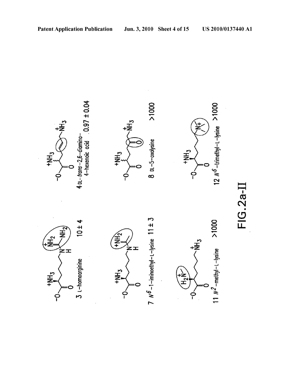 LYSINE RIBOSWITCHES, STRUCTURE-BASED COMPOUND DESIGN WITH LYSINE RIBOSWITCHES, AND METHODS AND COMPOSITIONS FOR USE OF AND WITH LYSINE RIBOSWITCHES - diagram, schematic, and image 05